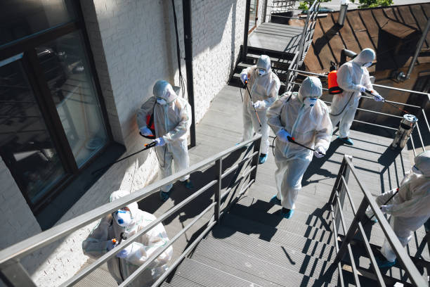 Reliable Dayton, MN Mold Removal Solutions