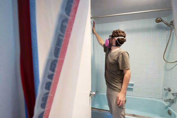 Mold Remediation for Vacation Homes in Dayton, MN