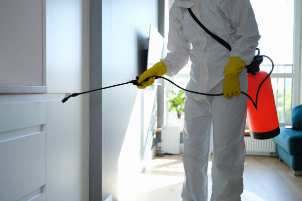 Best Biohazard Mold Removal  in Dayton, MN