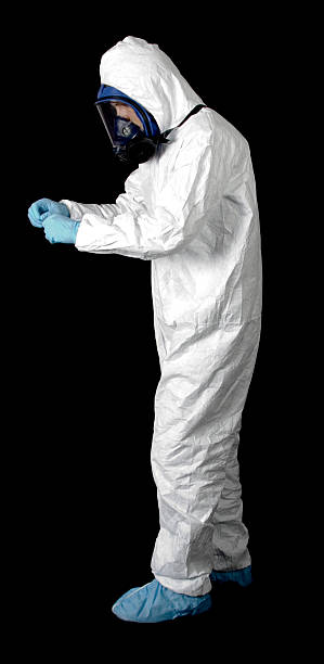Best Attic Mold Removal  in Dayton, MN