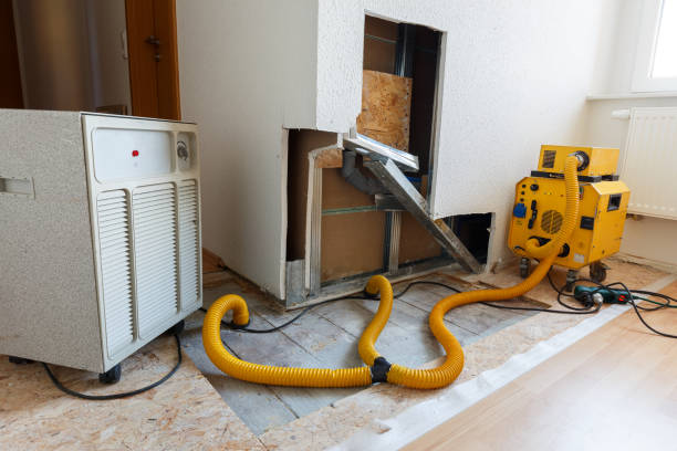 Best Mold Odor Removal Services  in Dayton, MN